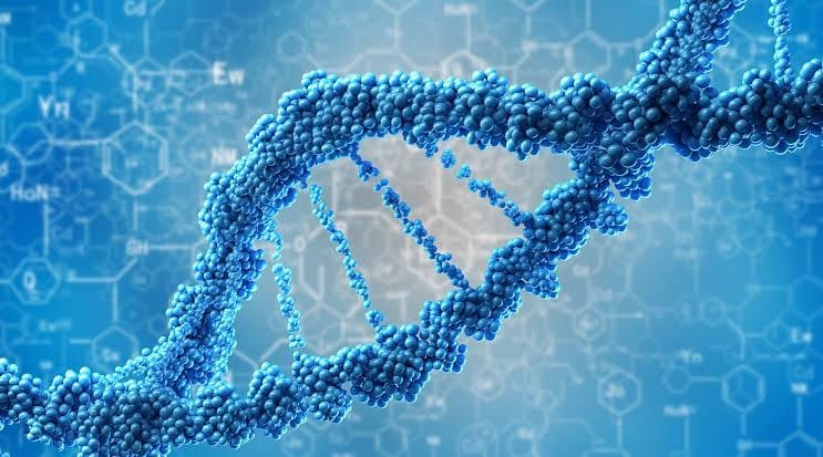 Investing in the Future: Longevity Biotechnology Revolution